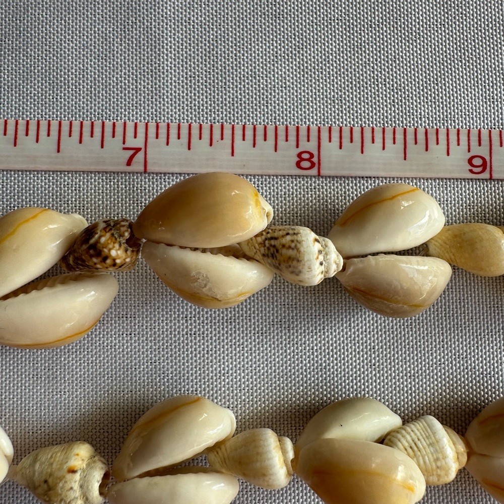 Natural Shell Necklace - Picture 4 of 5